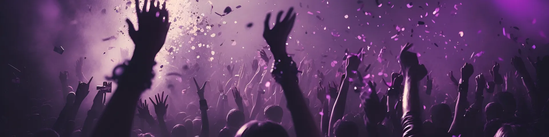 Foule en délire lors d'une soirée